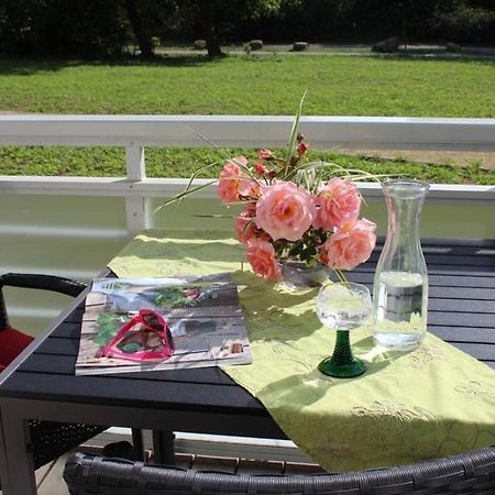 Apartamento Duenenrose App Nr 03 Max 3 Pers Dierhagen Exterior foto
